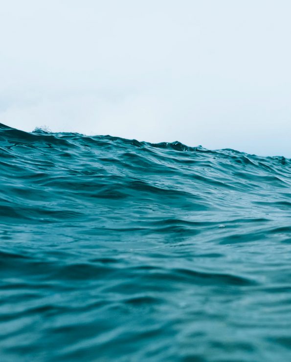 If you choose a job that you love, <b>you will never have to work a day in your life…</b>