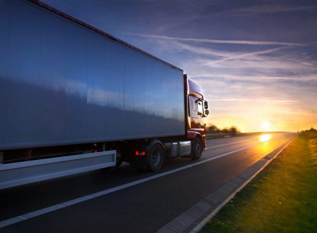 Ut venenatis lobortis purus, at molestie purus lobortis sed